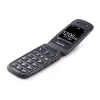Mobile phone Panasonic, Black (KX-TU446EXB)