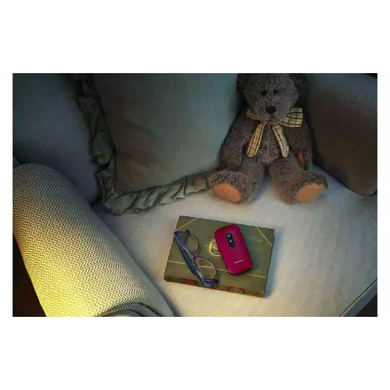 Mobile phone Panasonic, Black (KX-TU446EXB)