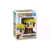 Figur Funko POP Animation  (889698466264)