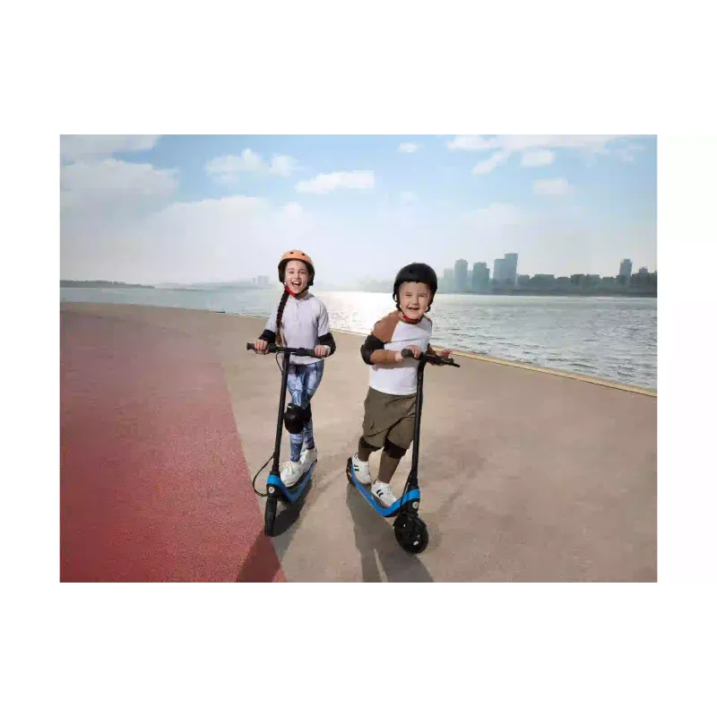 Ηλεκτρικό σκούτερ Segway C2 Lite, Blue (AA.10.05.01.0003)