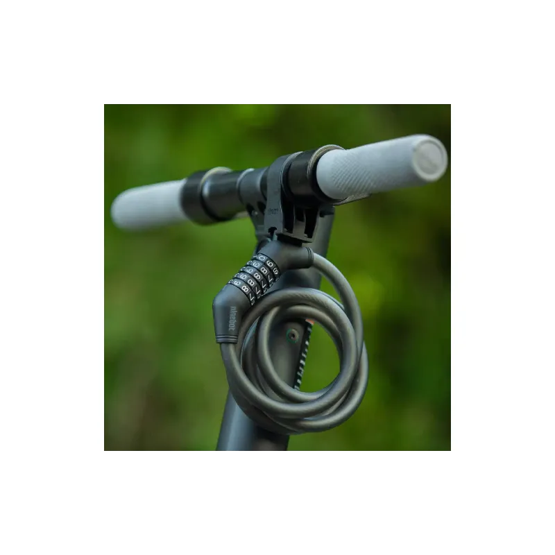 Diebstahlsicherungskabel Segway (AC.00.00.03.0027)