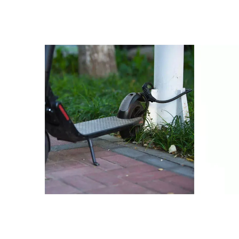 Diebstahlsicherungskabel Segway (AC.00.00.03.0027)