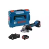 آلة طحن Bosch (0.601.9N9.003)
