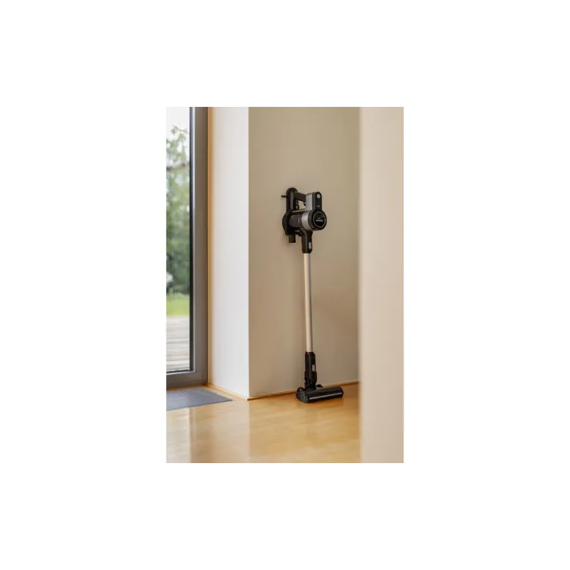 Прахосмукачка Gorenje, Black (SVC216300FLA)