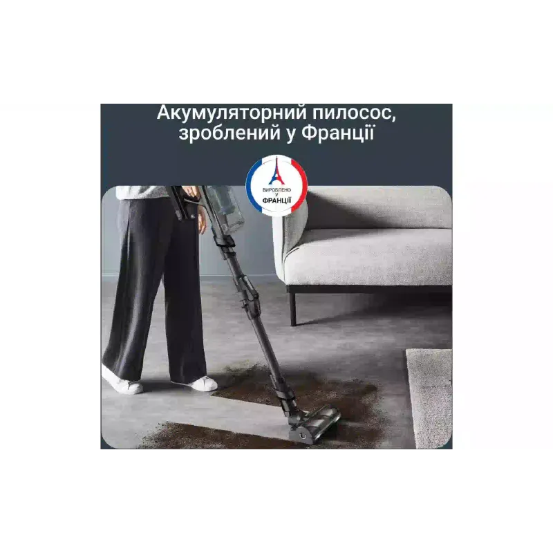 Прахосмукачка Rowenta, Black/Blue (RH9BC1WO)