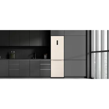 Hladilnik LG, Beige (GC-B459FEPW)