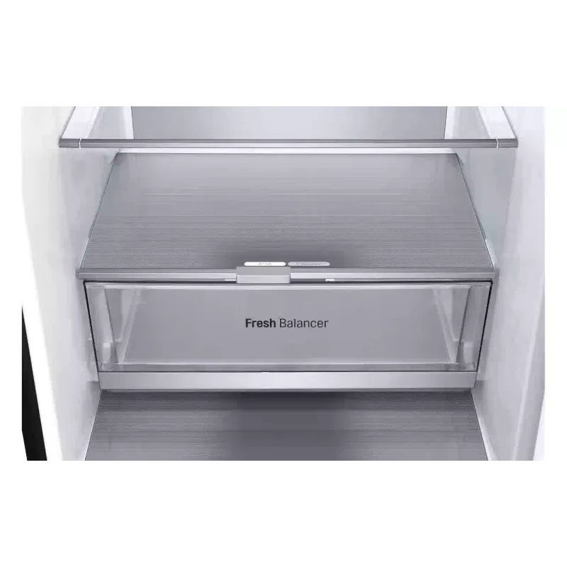 Ψυγείο LG, Black (GC-B509FTZW)
