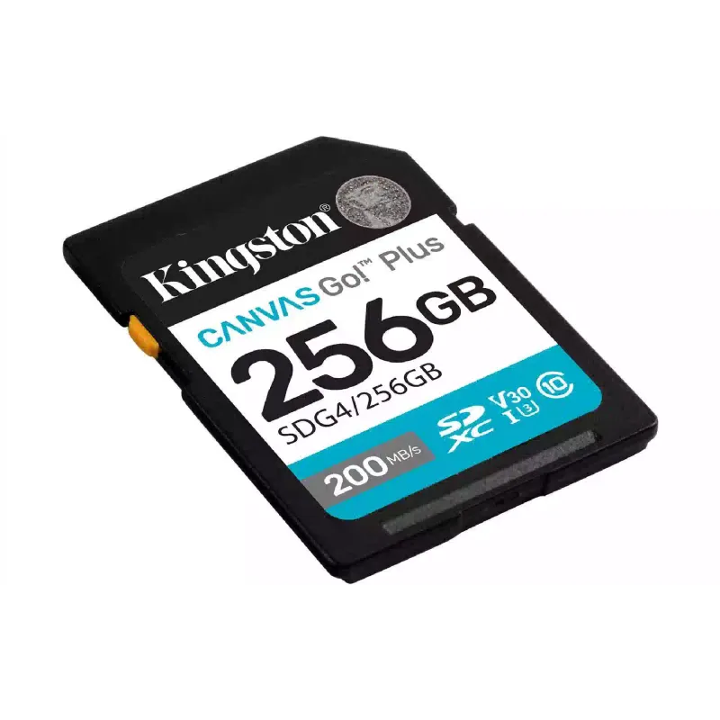 Cartão de memória Kingston (SDG4/256GB)