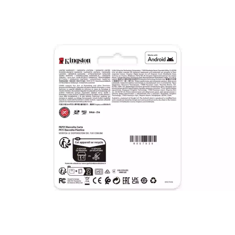 Cartão de memória Kingston (SDG4/256GB)
