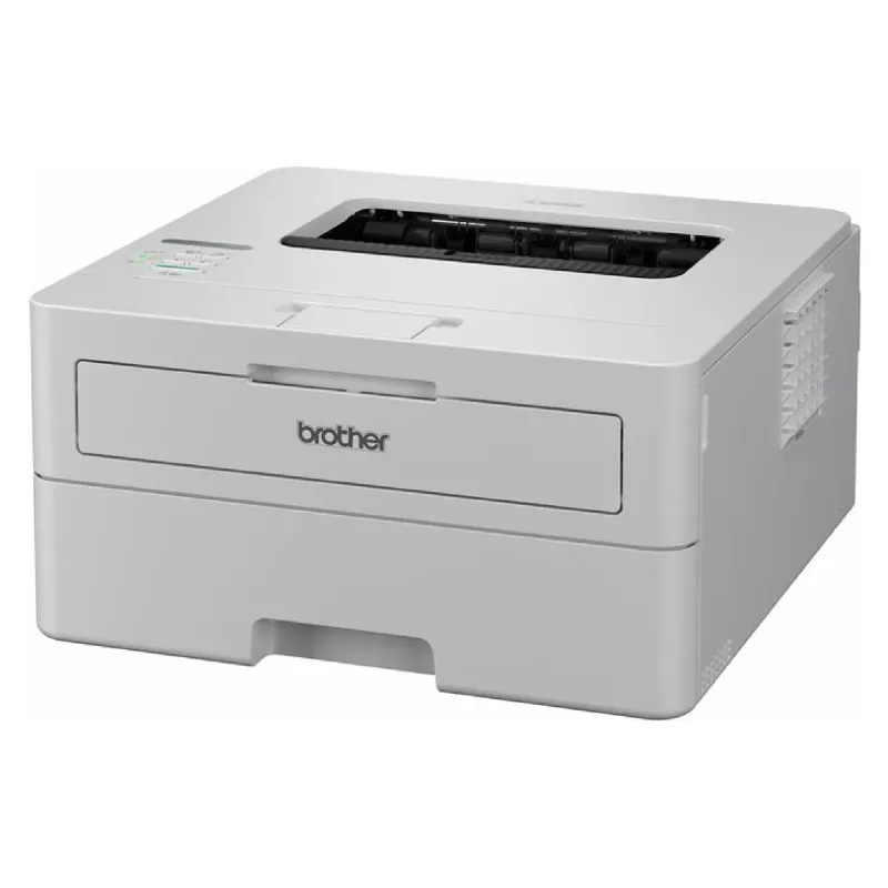 Εκτυπωτής Brother (HLB2180DWYJ1)