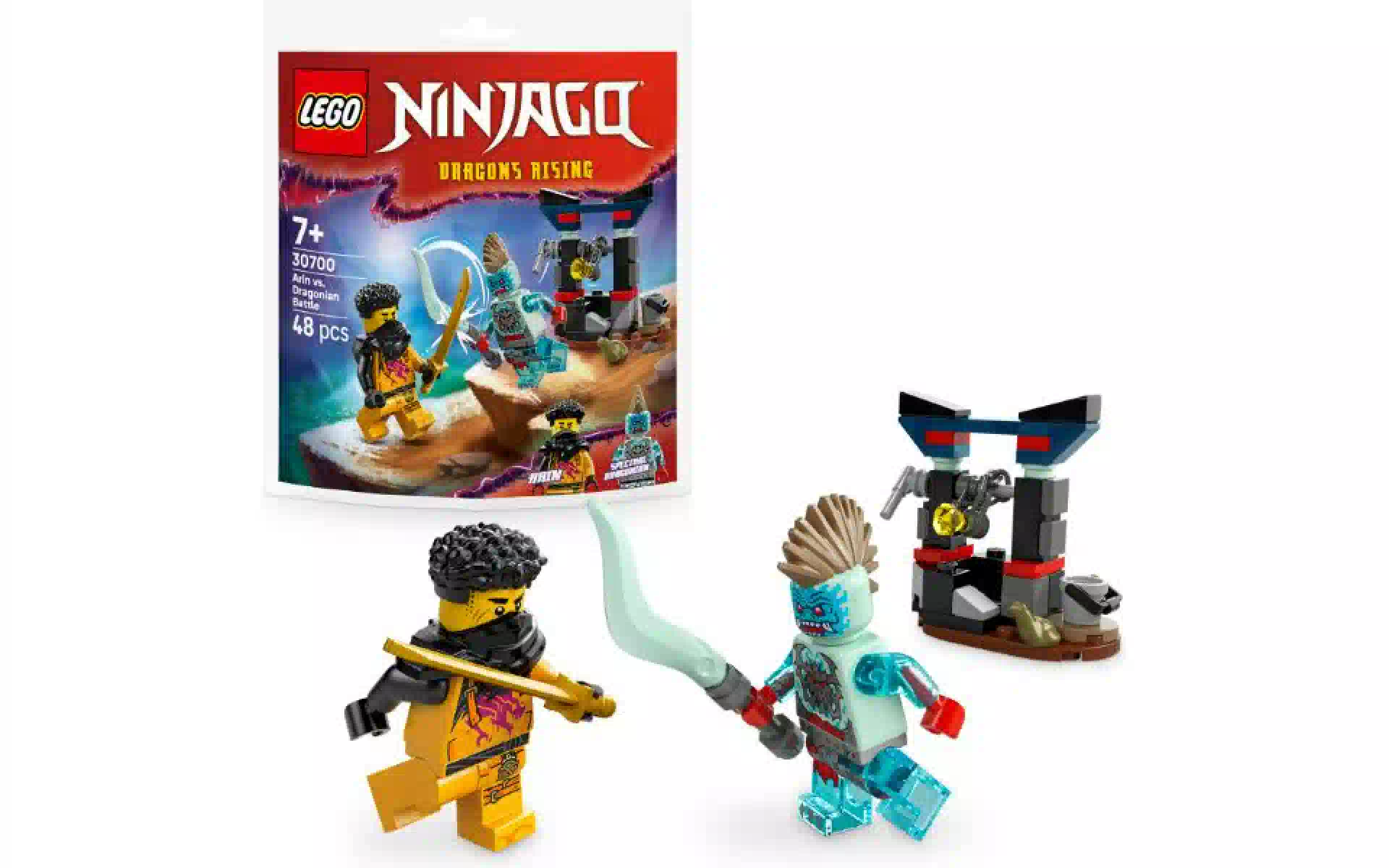 Конструктор LEGO NINJAGO Arin vs. Dragonian Battle (30700) Конструктор LEGO NINJAGO Arin vs. Dragonian Battle (30700)