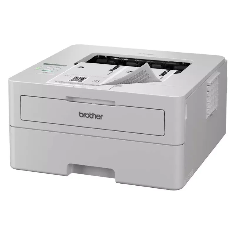 Εκτυπωτής Brother (HLB2180DWYJ1)