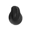 Mouse 2E  Black (2E-MF325WBK)