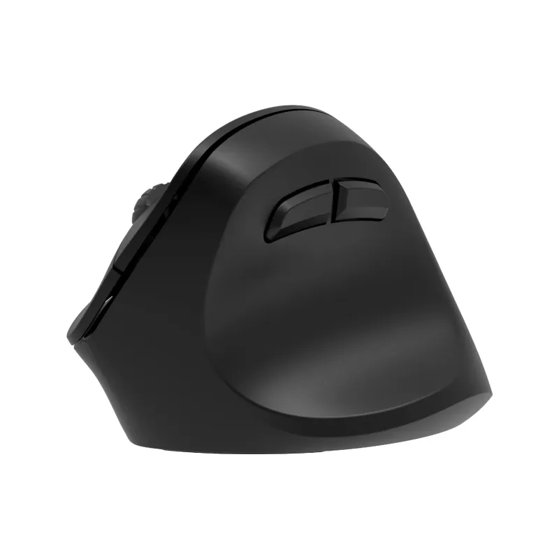 Mouse 2E  Black (2E-MF325WBK)