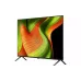 Fernseher LG (OLED48B56LA)