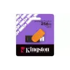 USB устройство Kingston (DTXS/256GB)