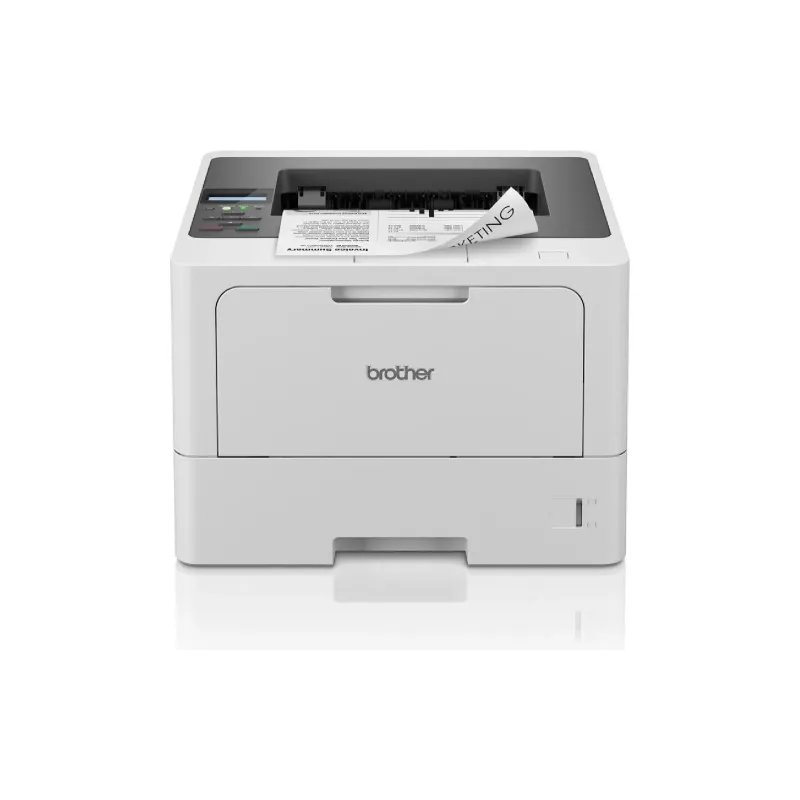 Drucker Brother (HLL5210DNRE1)