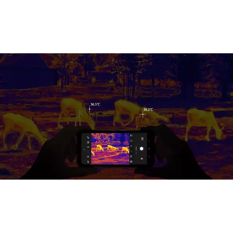 Smartphone Doogee Fire 6, Black (6923740234303)