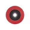 Disco de pétala Milwaukee (4932478950)