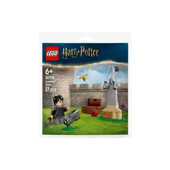Constructor LEGO Harry Potter Quidditch Lesson (30706)