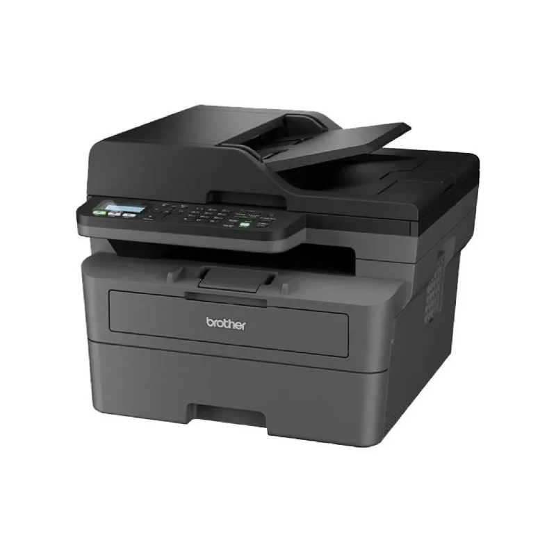 МФУ Brother (MFCL2802DWYJ1)