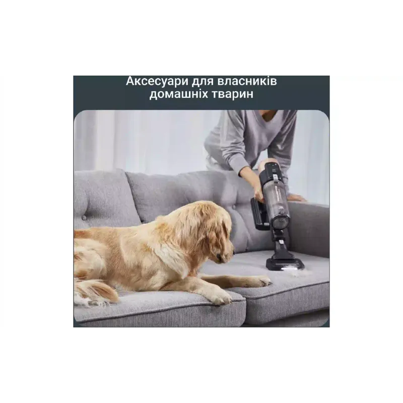 Прахосмукачка Rowenta, Black/Gold (RH9B74WO)