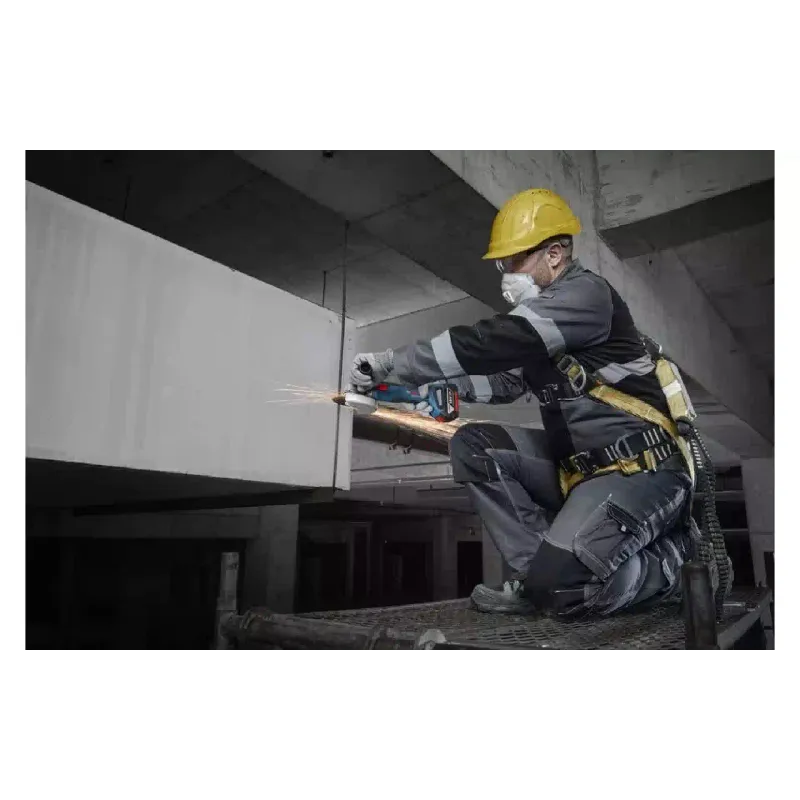 Μηχανή λείανσης Bosch (0.601.9N9.021)