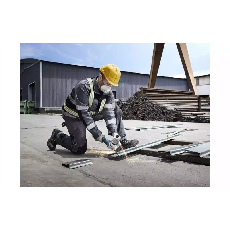 Μηχανή λείανσης Bosch (0.601.9N9.021)