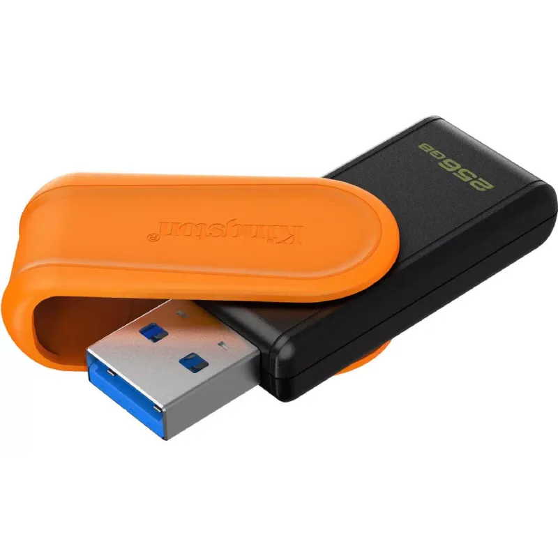 USB устройство Kingston (DTXS/256GB)