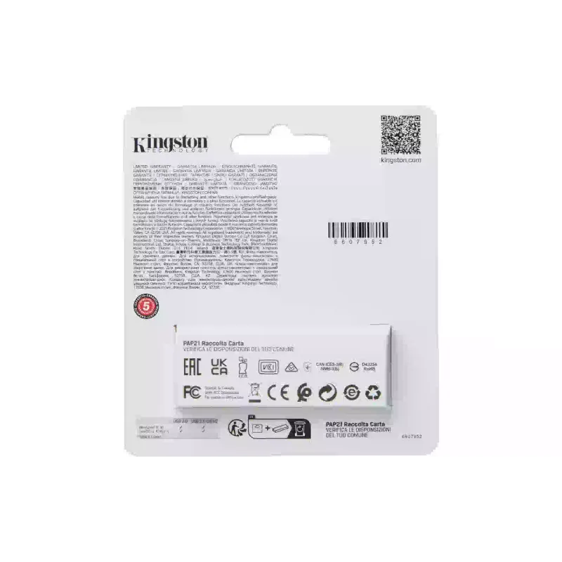 USB устройство Kingston (DTXS/256GB)