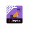 USB устройство Kingston (DTXS/256GB)