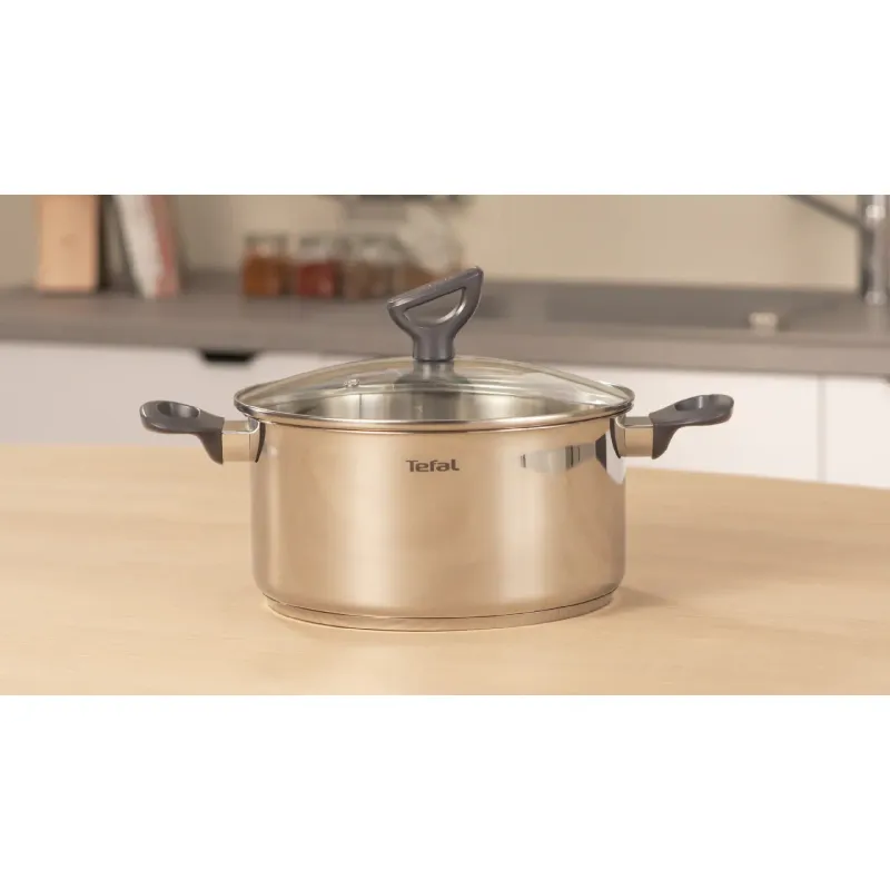قدر مع غطاء Tefal Daily Cook (G7124645)