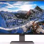 Монитор Philips (439P1/00)
