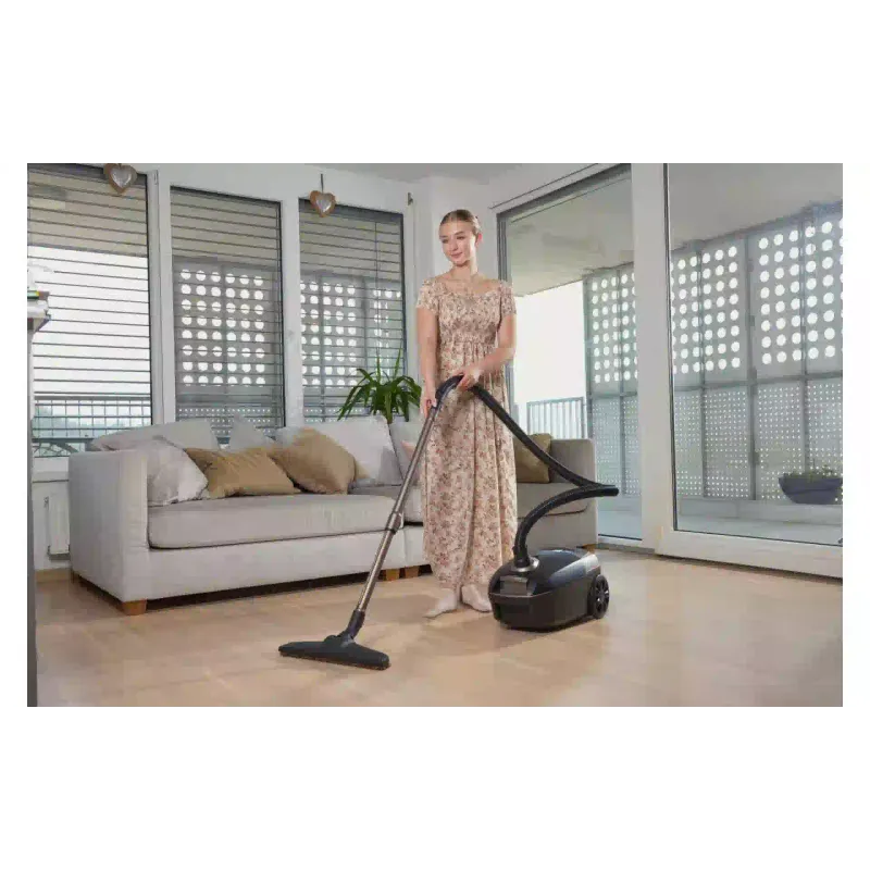 Прахосмукачка Gorenje, Black (VCE48AFBKGO)