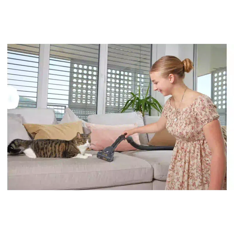 Прахосмукачка Gorenje, Black (VCE48AFBKGO)