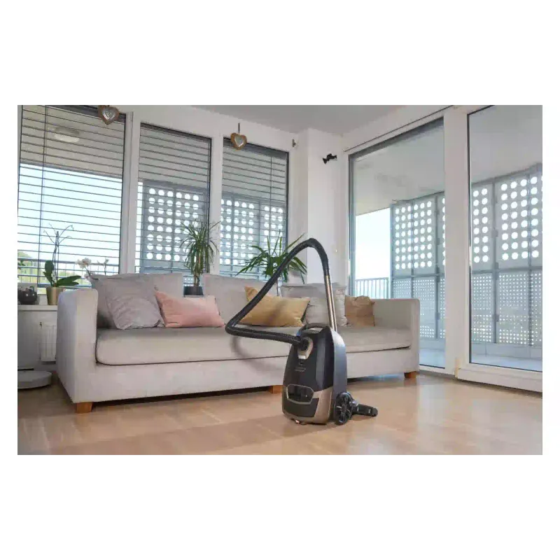 Прахосмукачка Gorenje, Black (VCE48AFBKGO)