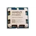 CPU AMD Ryzen 9 9950X3D (100-100000719WOF)