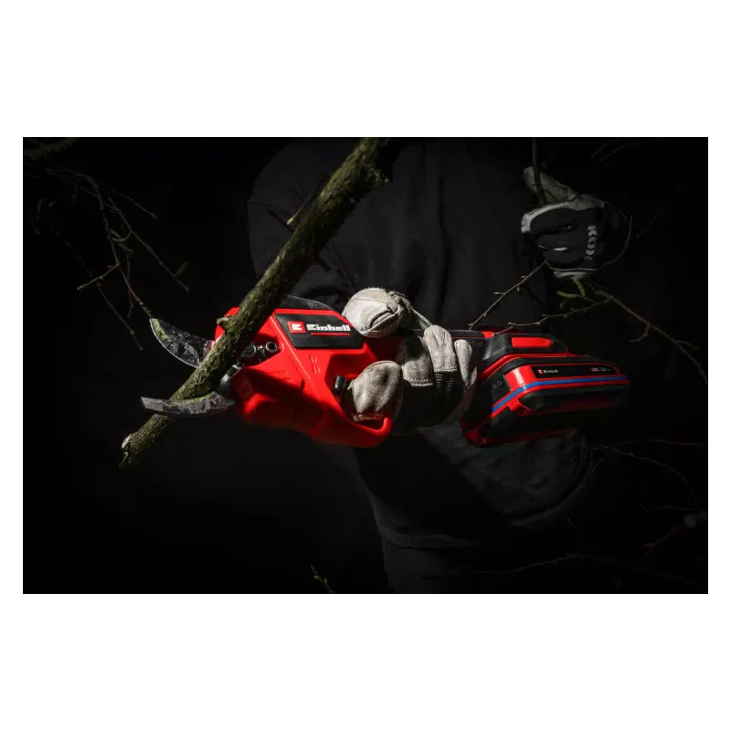 Škarje za obrezovanje Einhell (3408320)