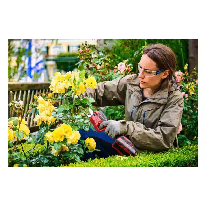 Škarje za obrezovanje Einhell (3408320)