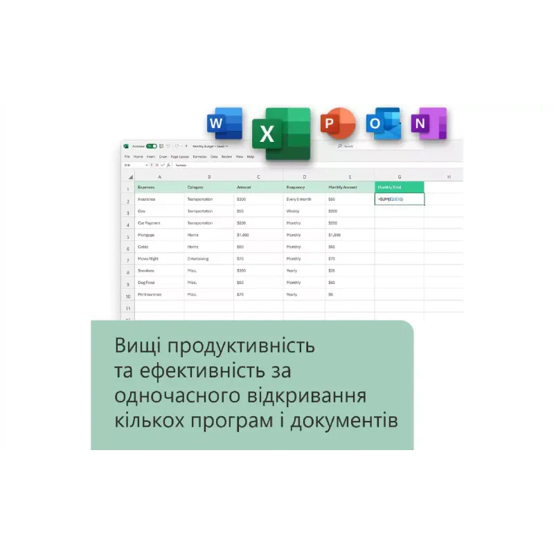 Software Microsoft Office Home and Business 2024 (EP2-06605)