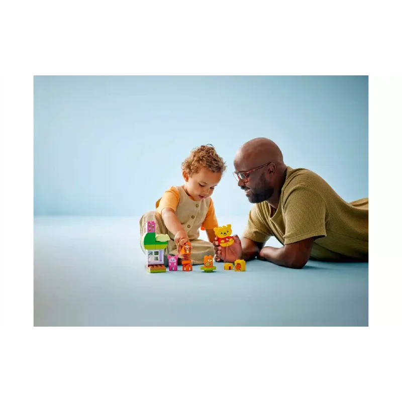 Construtor LEGO Disney Winnie the Pooh's Birthday Party (10457)