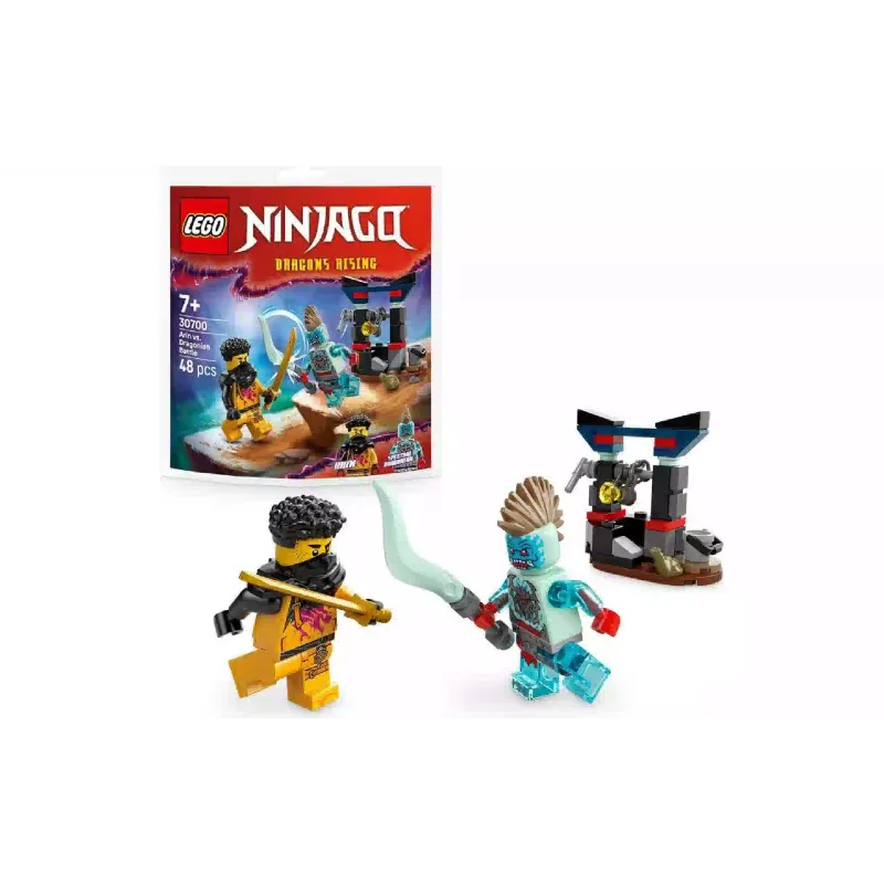 Construtor LEGO NINJAGO Arin vs. Dragonian Battle (30700)