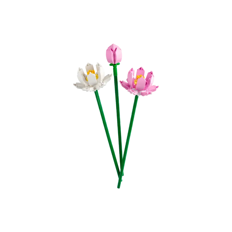 Constructor LEGO Botanicals Lotus Flowers (40647)