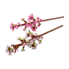 Конструктор LEGO Botanicals Cherry Blossoms (40725)