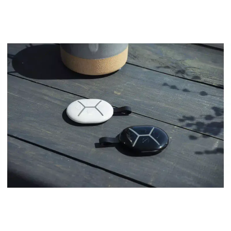 Schlüsselanhänger U-Prox (4820261370461)