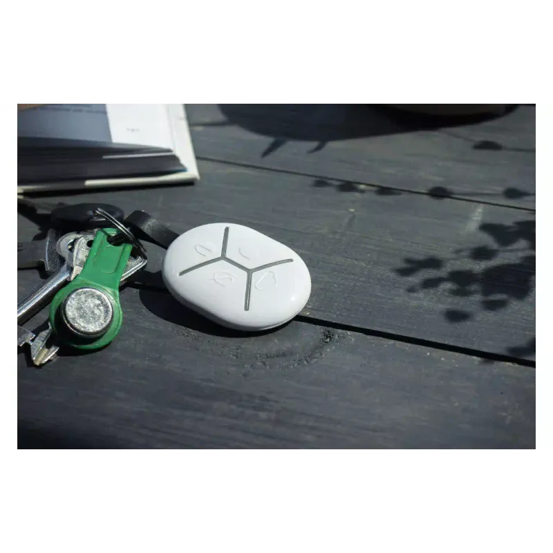 Schlüsselanhänger U-Prox (4820261370461)