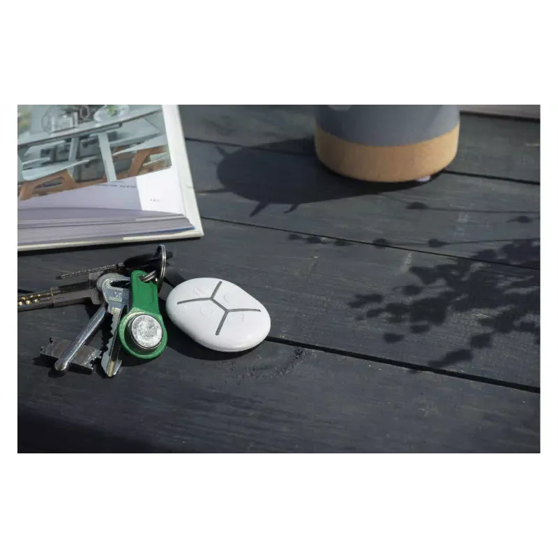 Schlüsselanhänger U-Prox (4820261370461)