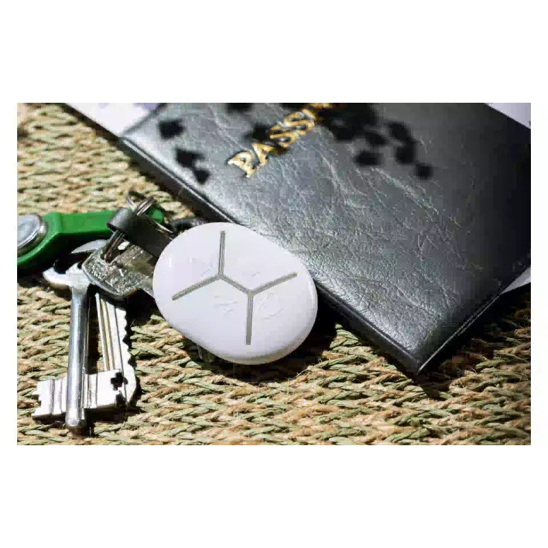 Schlüsselanhänger U-Prox (4820261370461)