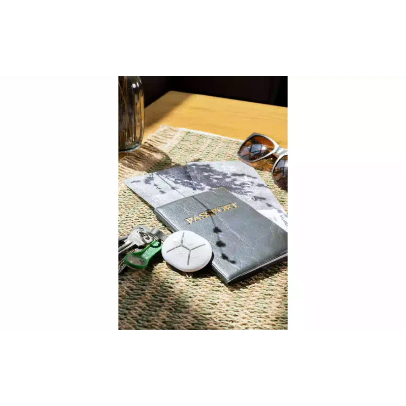 Schlüsselanhänger U-Prox (4820261370461)