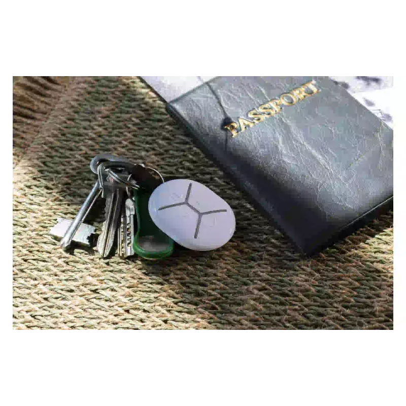 Schlüsselanhänger U-Prox (4820261370461)